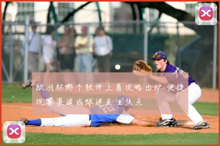 欧洲杯哪个软件上看攻略出炉 便捷观赛渠道成球迷关注焦点