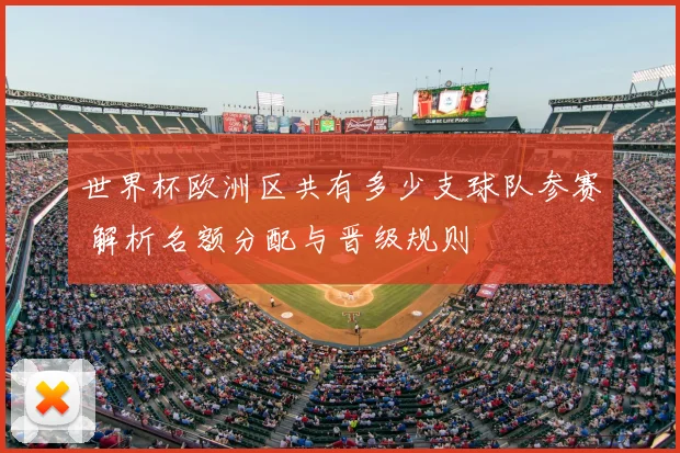 世界杯欧洲区共有多少支球队参赛 解析名额分配与晋级规则